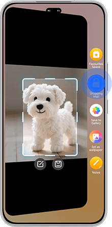 Honor 400 Pro